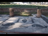 02022 ostia - regio ii - insula vii - piazzale delle corporazioni (ii,vii,4) - station 48 - m(auretania) c(aesariensis) - 09-2022.jpg